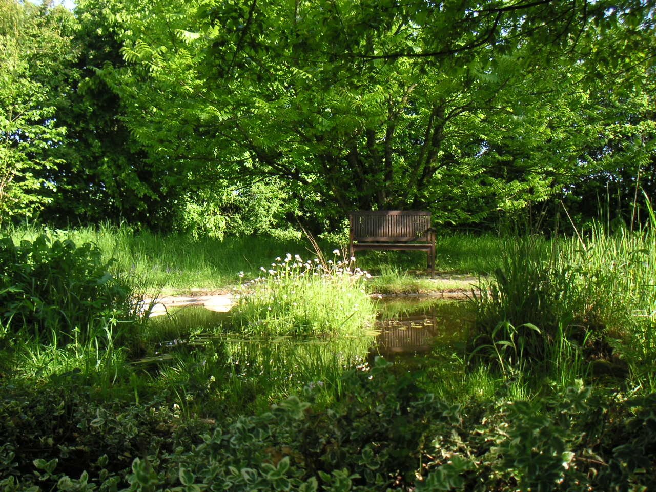 Landhaus in Alleinlage bei Trier mit ca. 27.000 m² Land