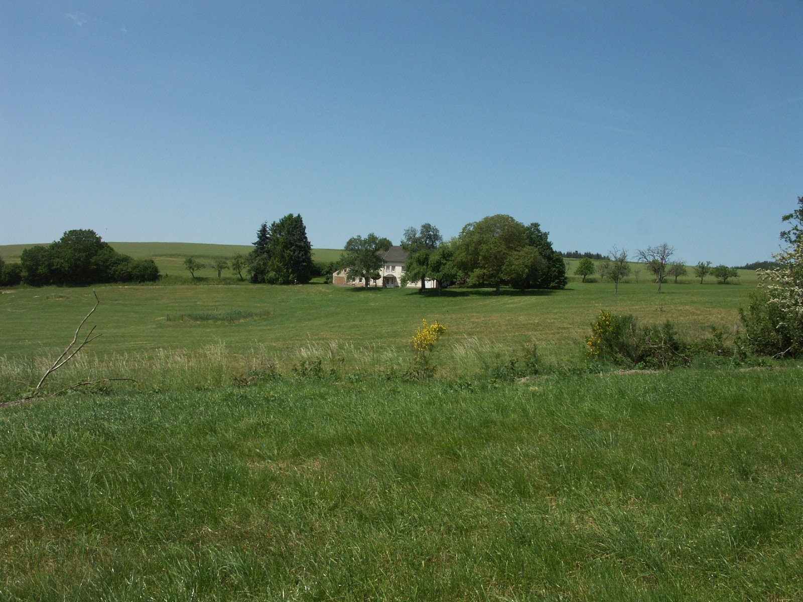 Landhaus in Alleinlage bei Trier mit ca. 27.000 m² Land
