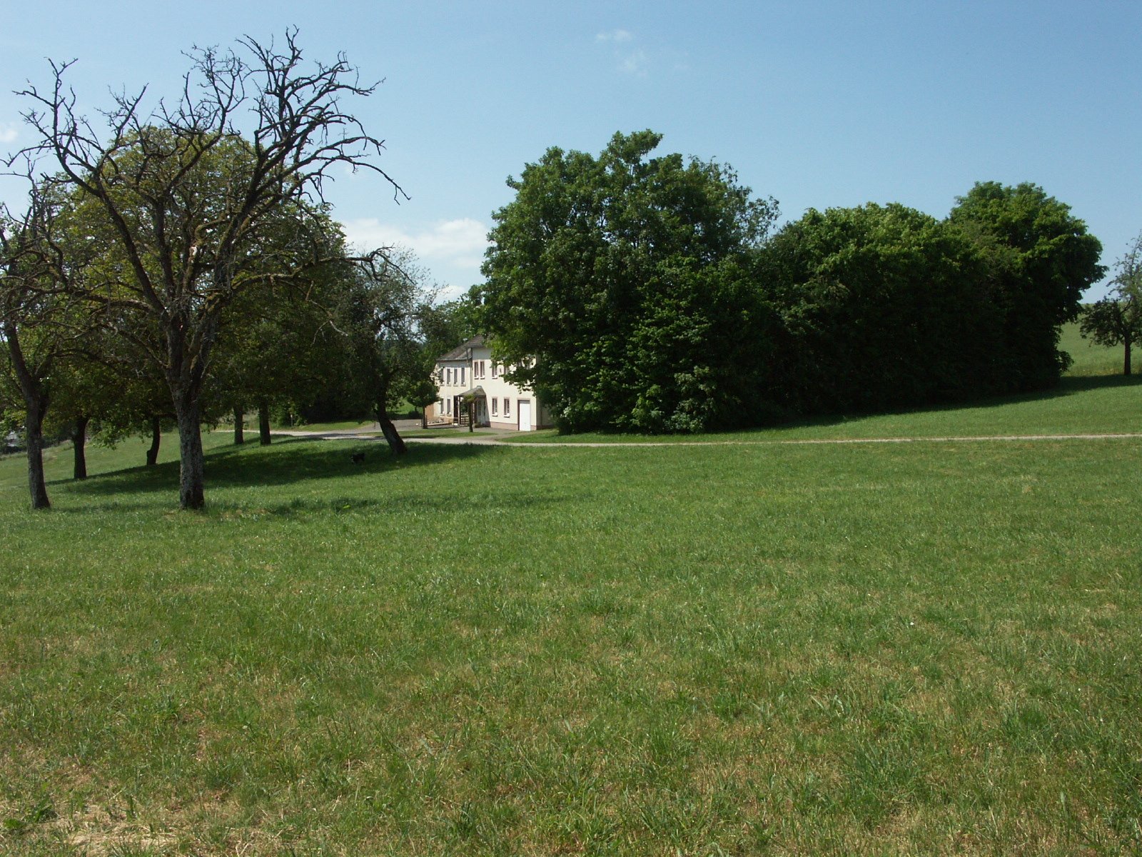 Landhaus in Alleinlage bei Trier mit ca. 27.000 m² Land