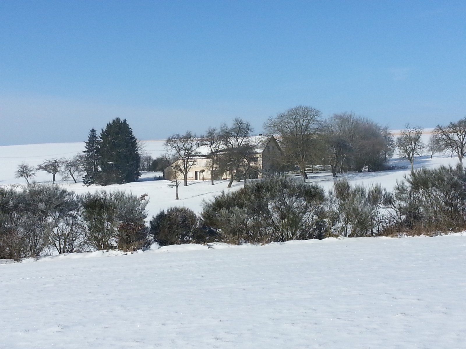 Landhaus in Alleinlage bei Trier mit ca. 27.000 m² Land