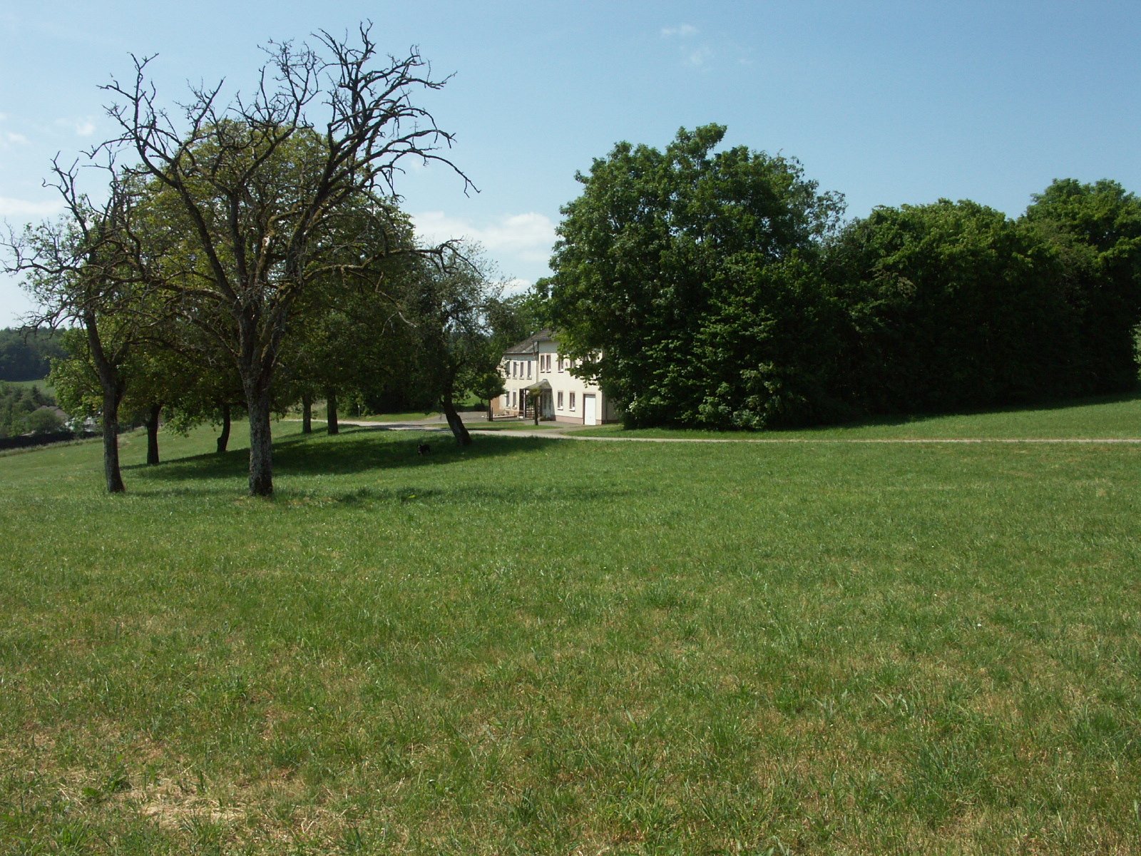 Landhaus in Alleinlage bei Trier mit ca. 27.000 m² Land