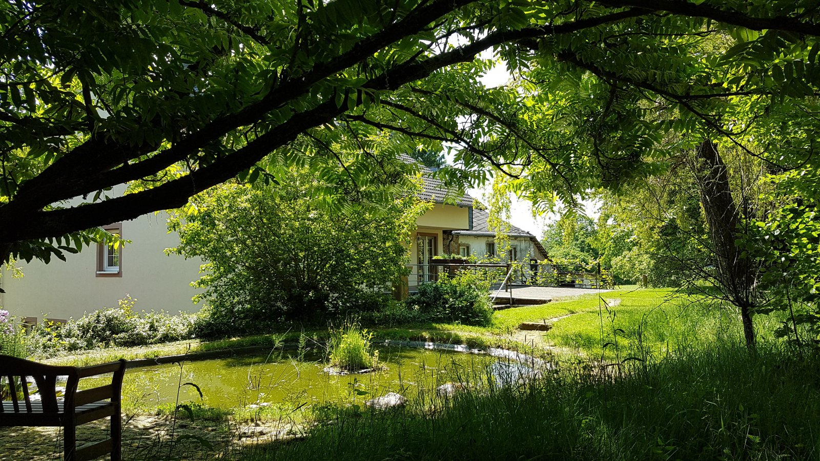 Landhaus in Alleinlage bei Trier mit ca. 27.000 m² Land