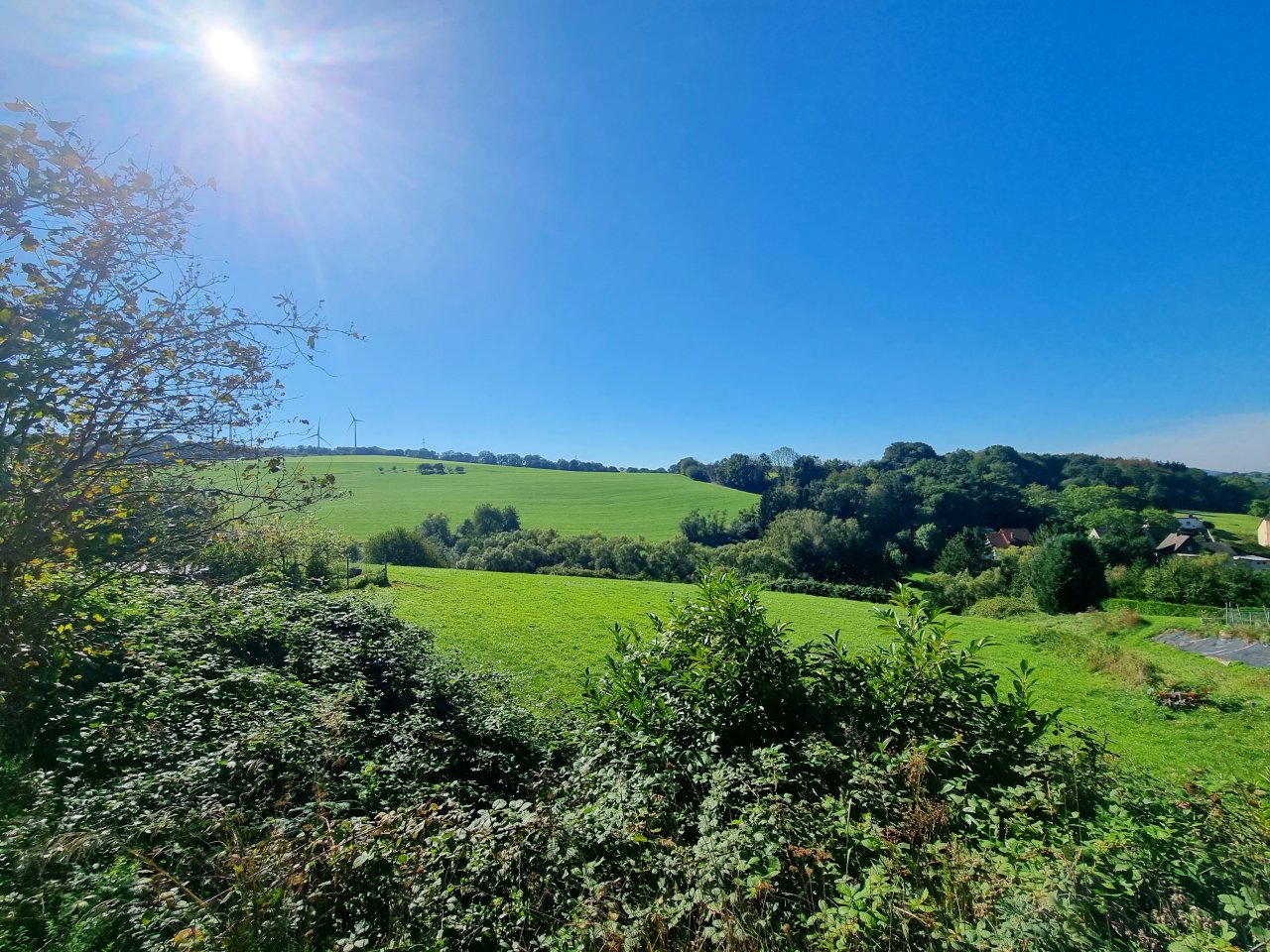 Aussicht vom Garten