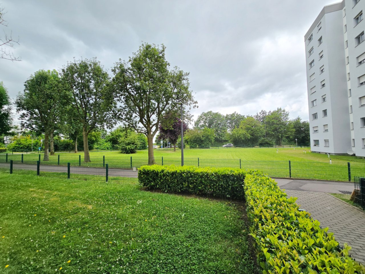 Vorgarten und Zuwegung Vorgarten und Zuwegung