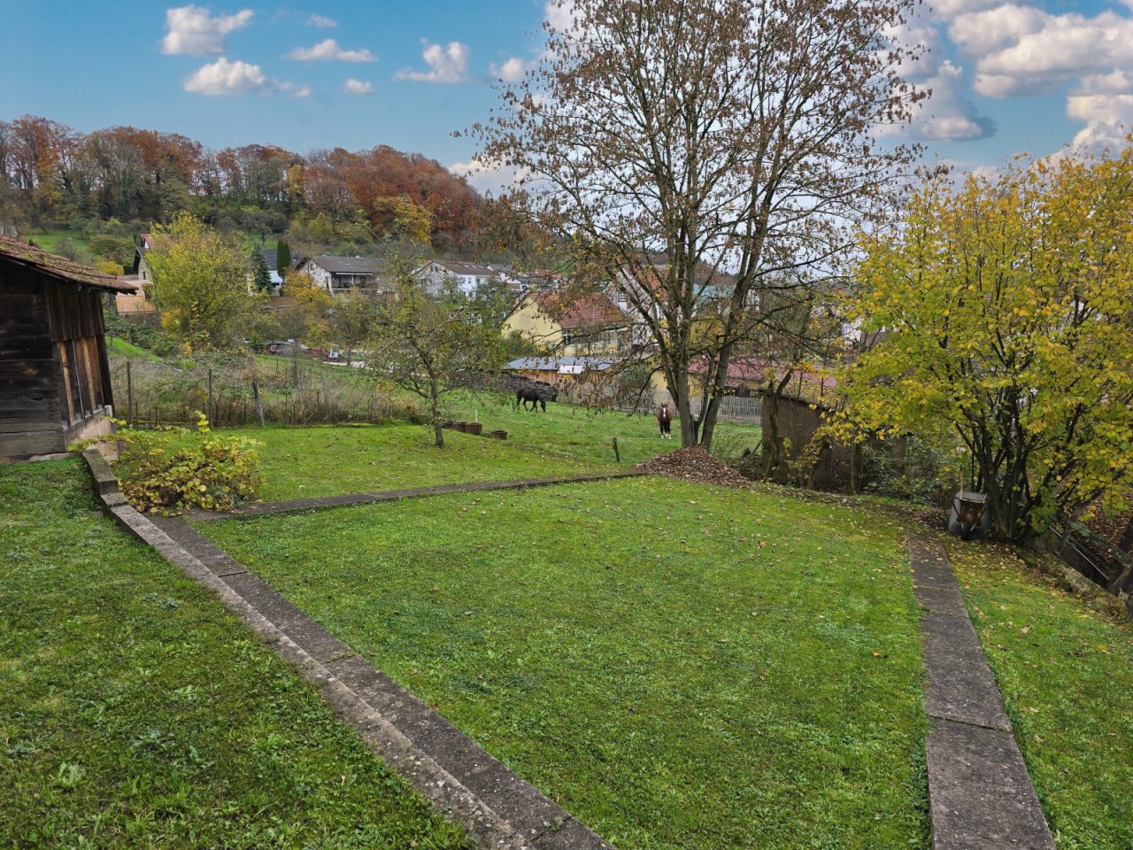 herbstlicher Garten mit Pferden in der Nachbarschaft herbstlicher Garten mit Pferden in der Nachbarschaft