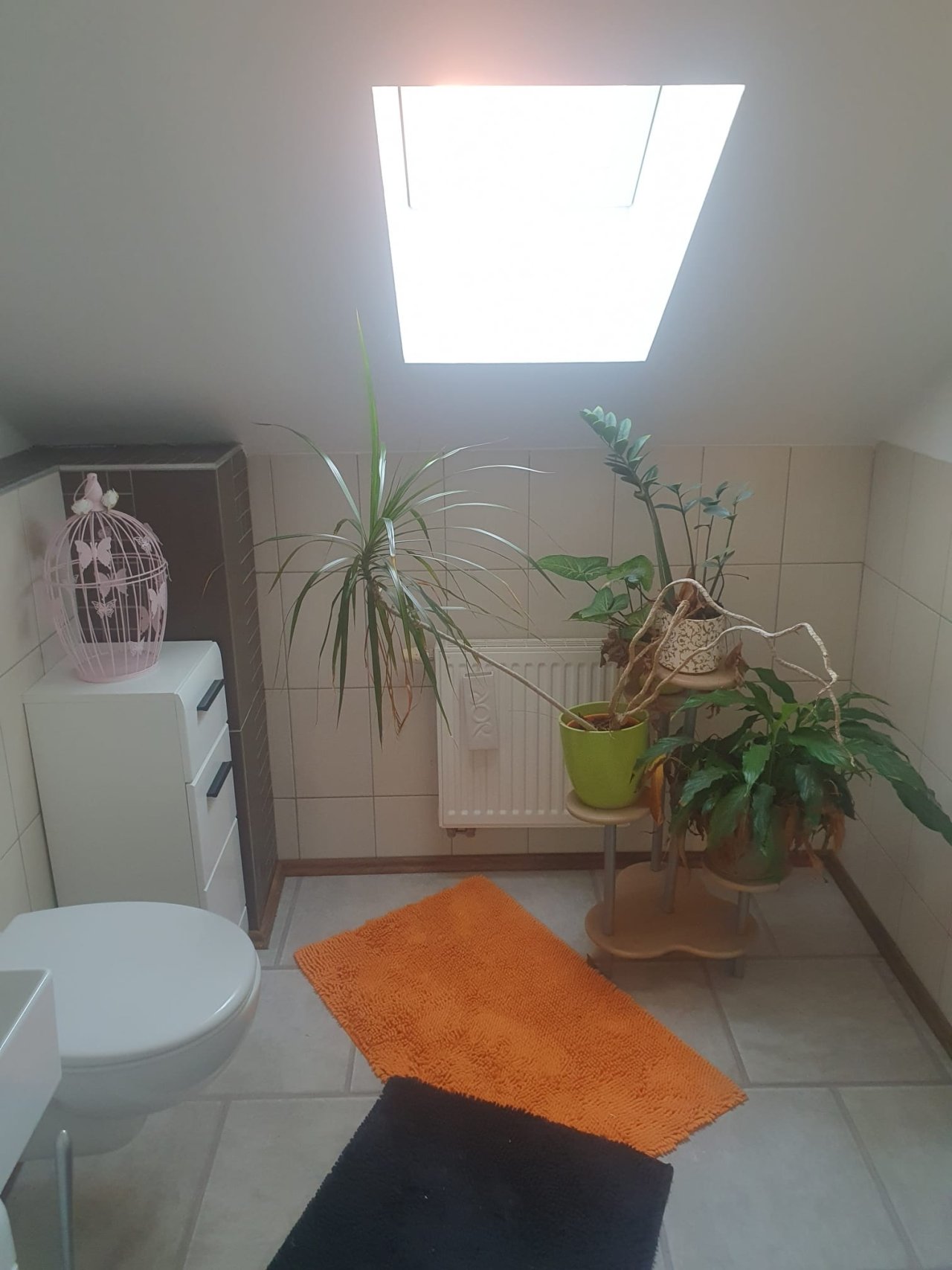 Gäste WC Gäste WC