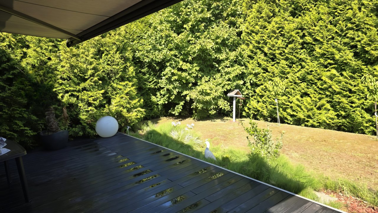 Blick in den Garten Blick in den Garten
