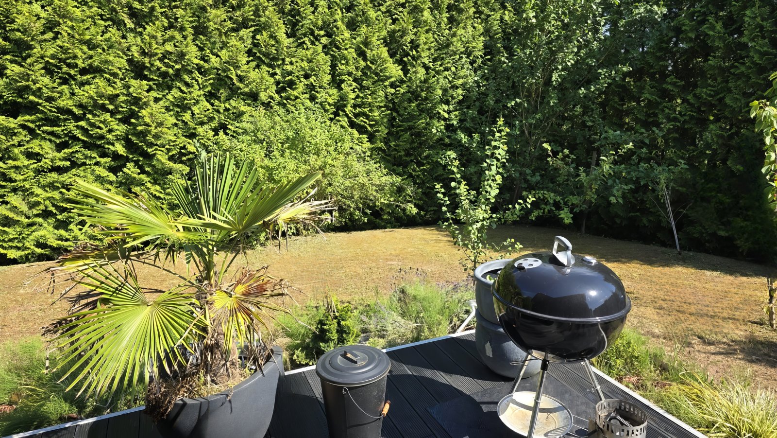 Blick in den Garten Blick in den Garten