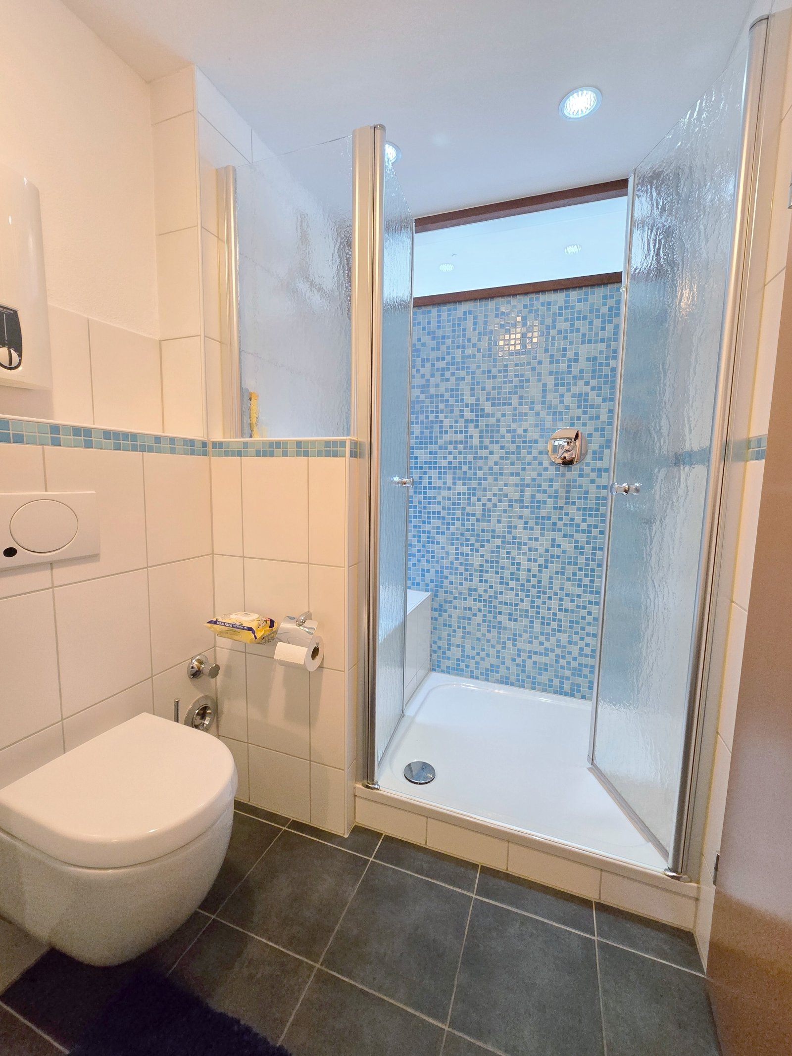 Gästebad Dusche mit Sitzbank Gästebad Dusche mit Sitzbank