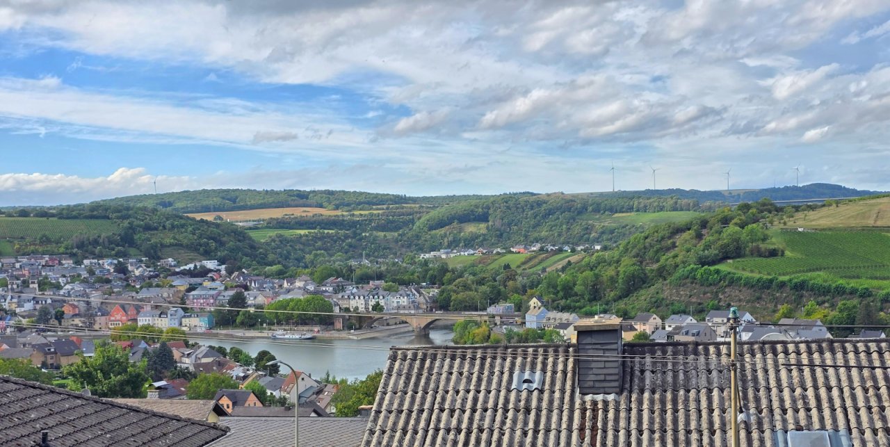 Toller Blick vom Gartenhaus