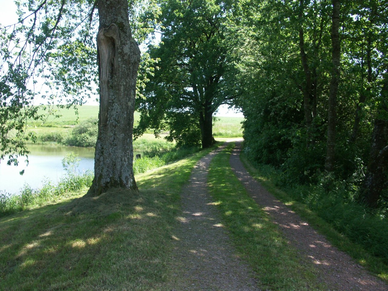 benachbarter Spazierweg 